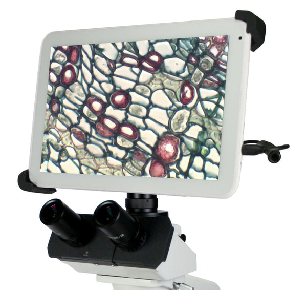 National BTI1 Digital Microscope with Tablet, TrinocularMicroscopesMicroscopes_CompoundMicroscopes_DigitalBTI2-169-SP