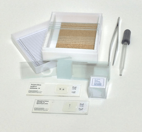 Basic Glass Slide Making Kit, BZK2010