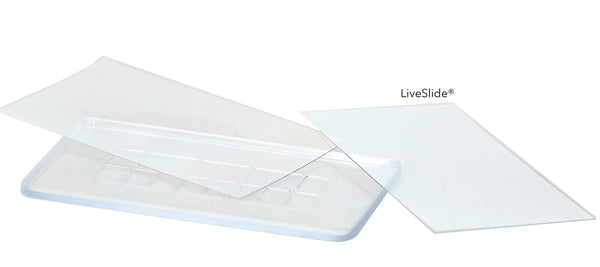 LiveSlide® Viewing Slides and Cover Slips by Living Slides (#LS01) - Benz Microscope Optics Center