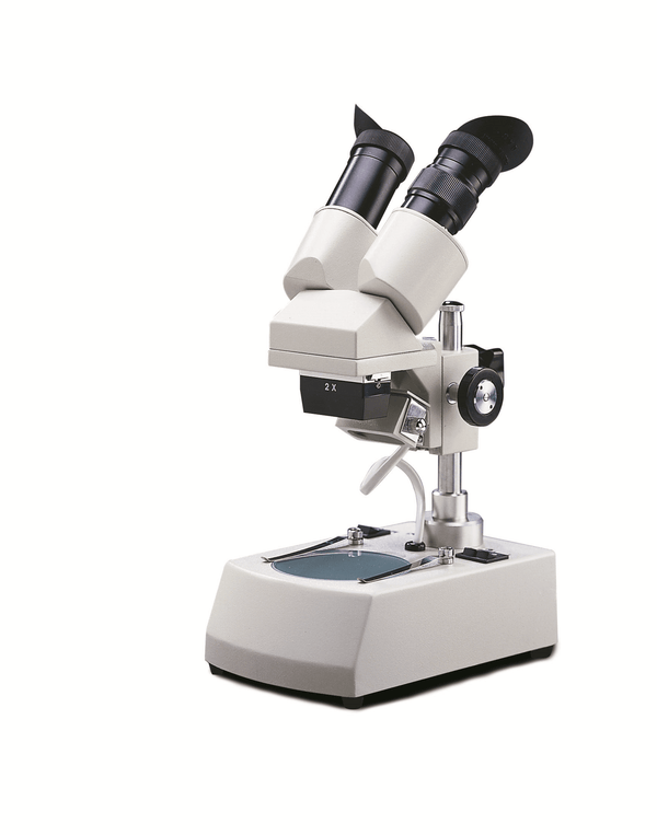 National Stereo Microscope - 405 Series Fixed Magnification with Inclined Head - Benz Microscope Optics Center