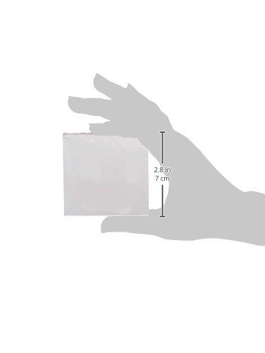 Glass Streak Plate, 2" Height X 2" Width X 1/4" Thick, Pack of 12 #US214 - Benz Microscope Optics Center - size graphic